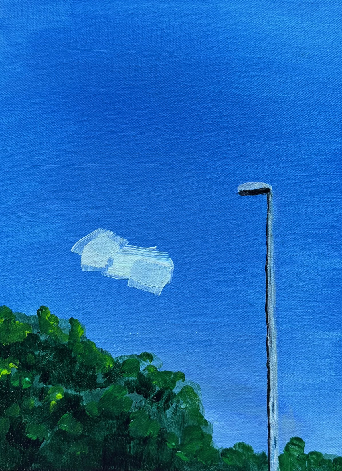 wolk en lantaarnpaal - marian mijnhardt